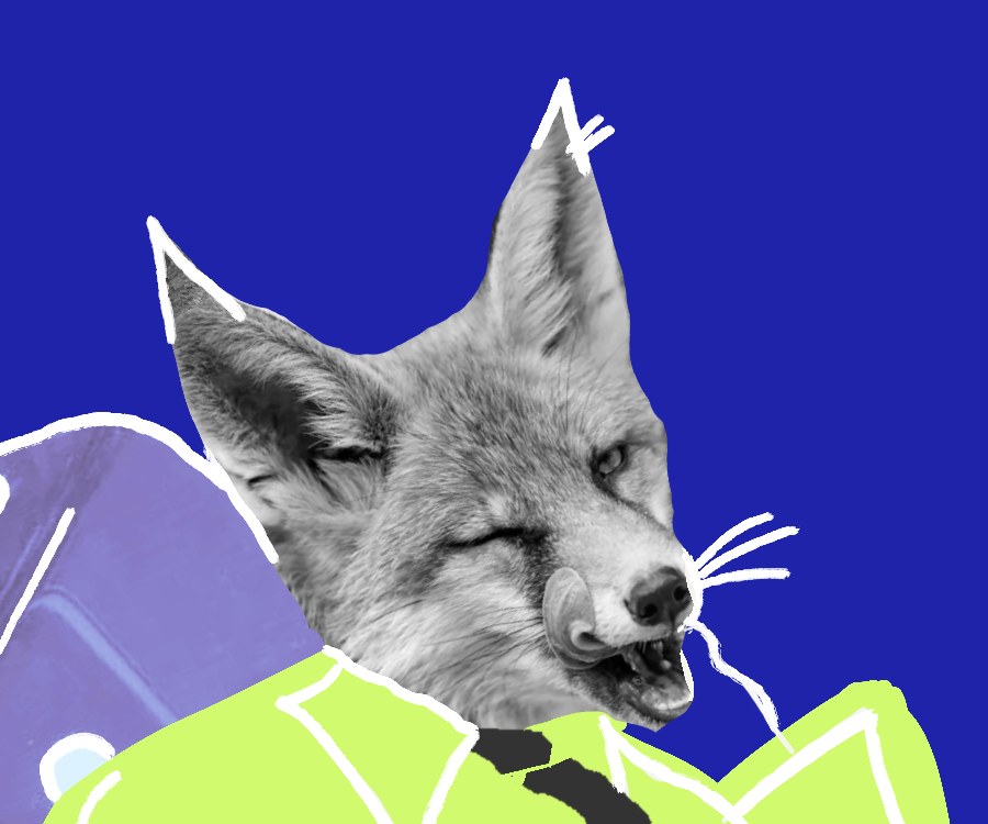 Close-up: the photographed fox head, eyes shut, on the lime suit