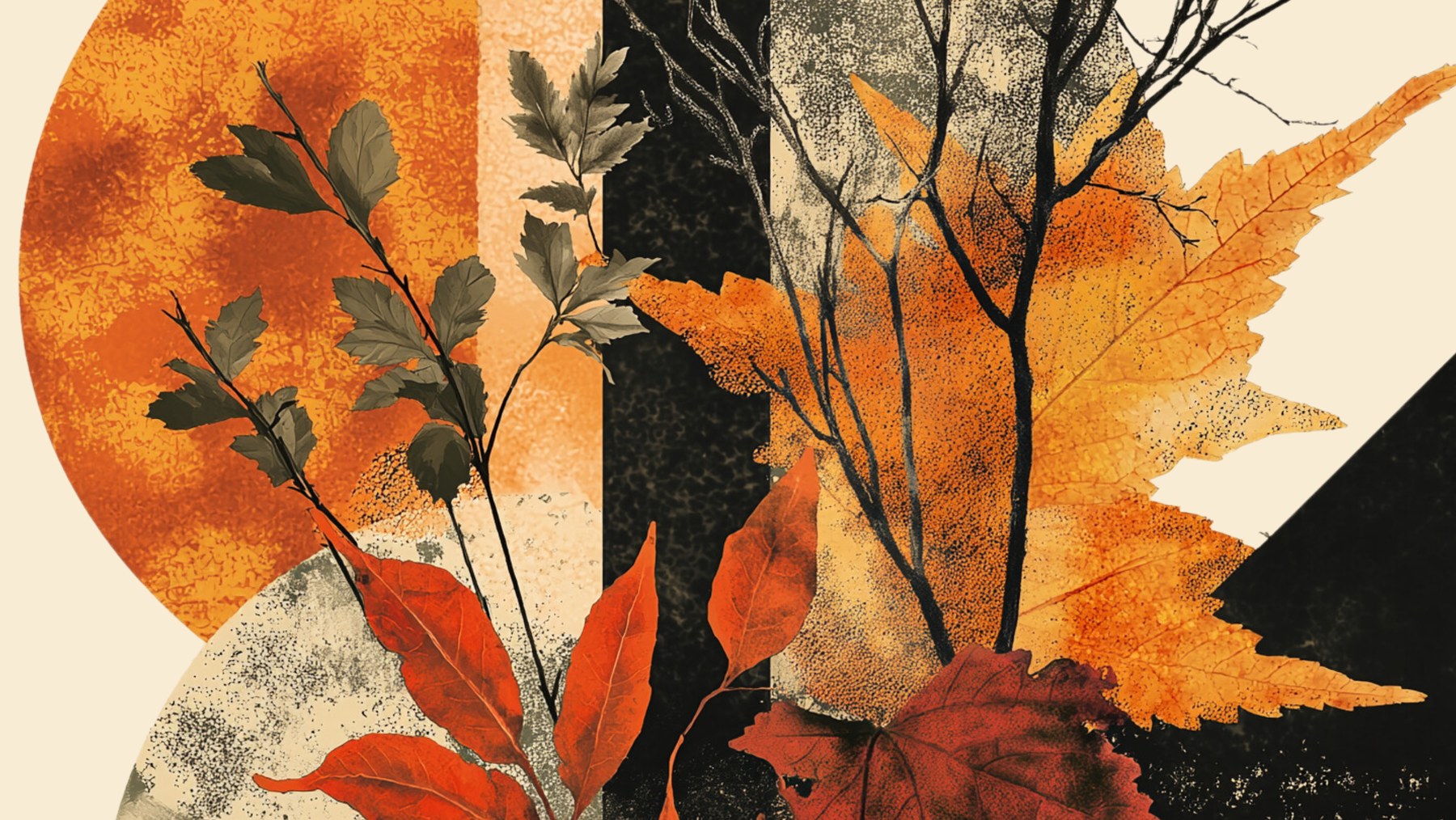 The event cover: the collage alone, wide