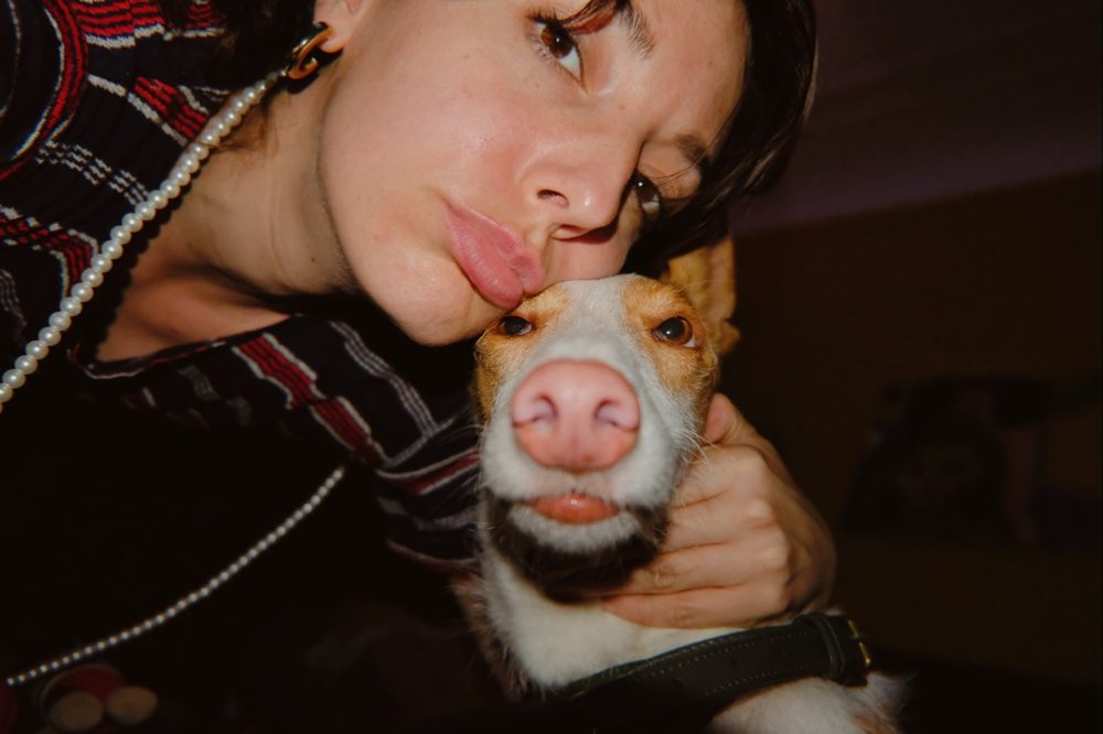 A kiss on a podenco nose
