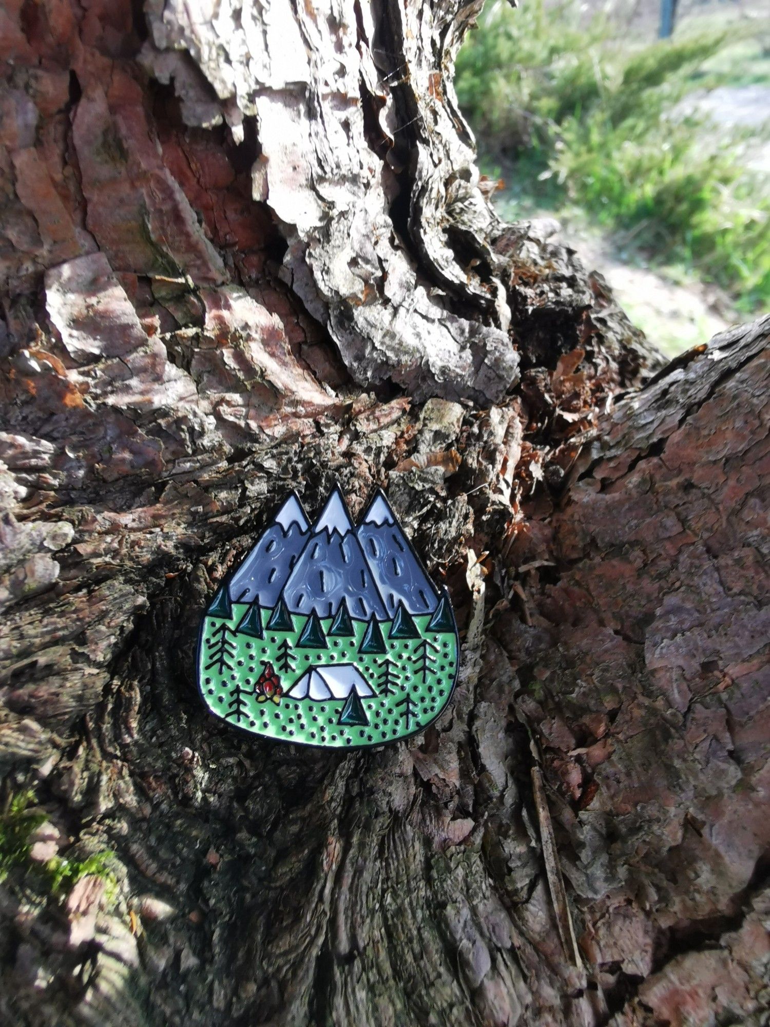 A pin with mountains and a tent on the bark of a tree