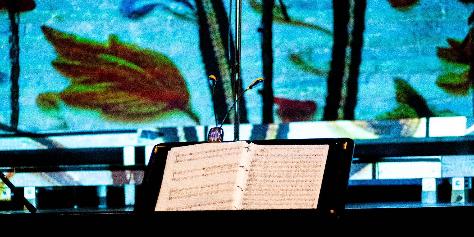 Close-up: a music stand with the score in front of the projected leaves